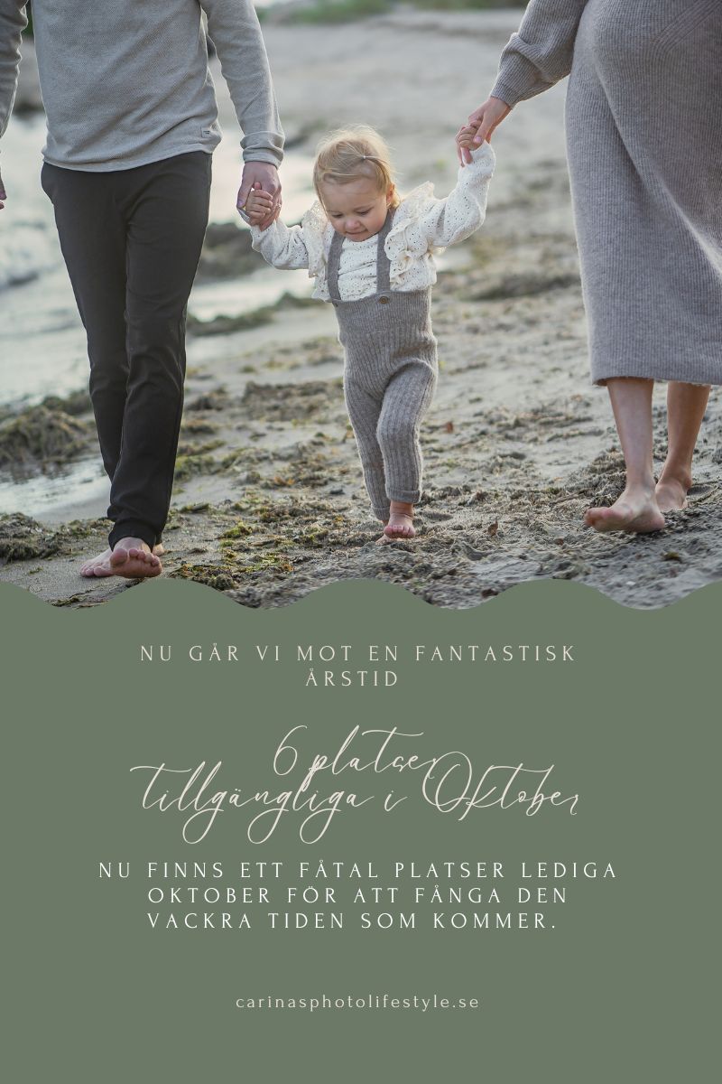 Läs mer om artikeln Den fantastiska hösten är här