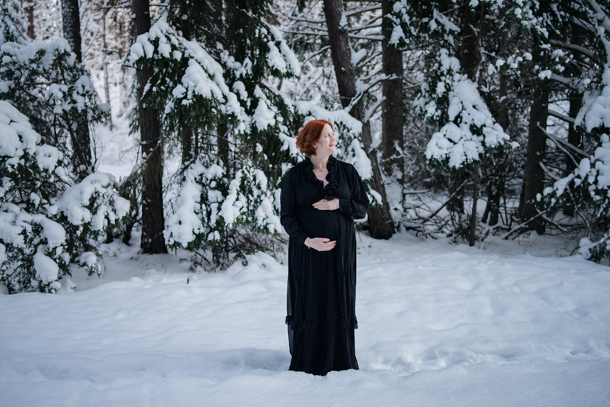 Läs mer om artikeln En kall januaridag